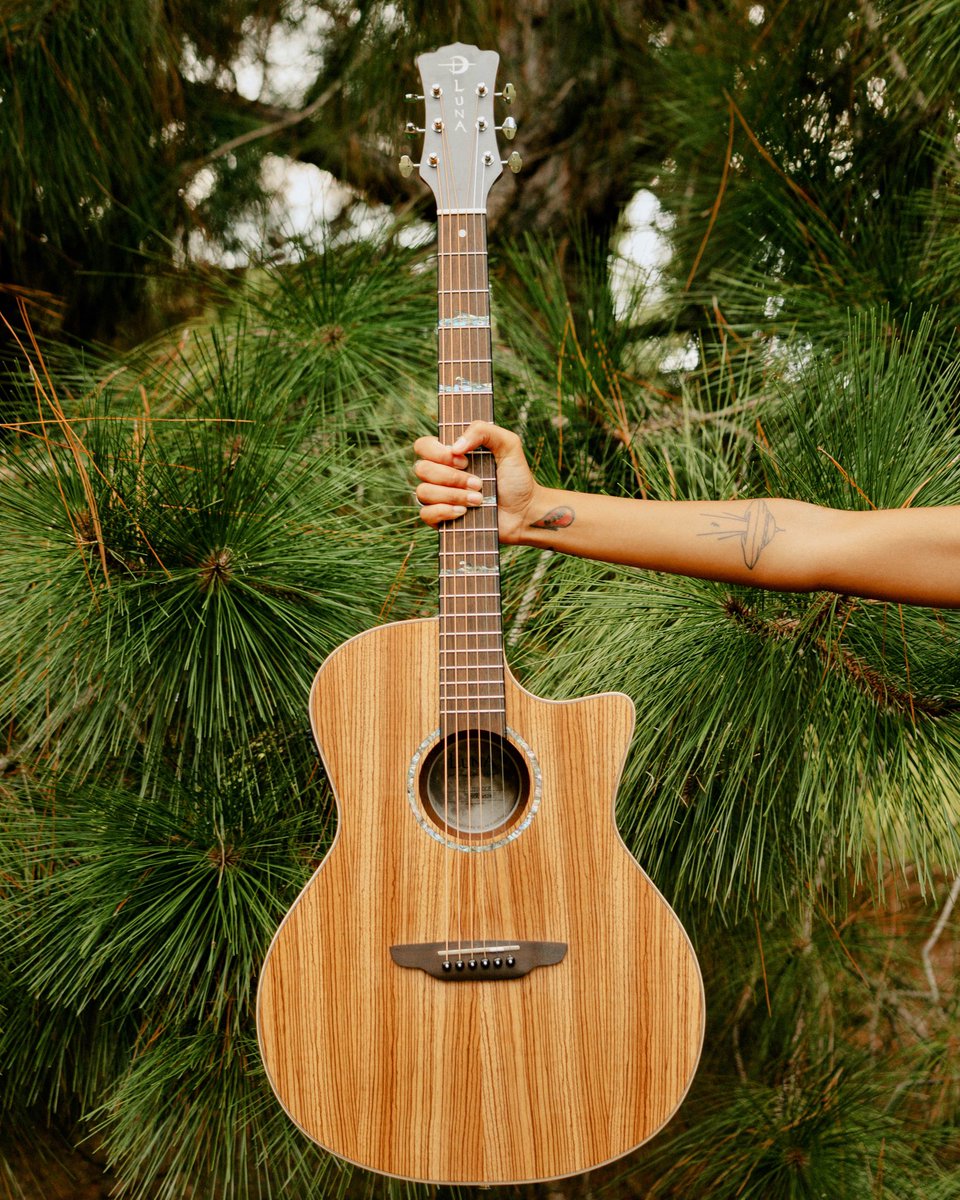lunaguitars's tweet photo. 🌾 It’s got funk, style and a personality of its own! Those signature High Tide abalone inlays are noticeable from mile away, on &amp; off the stage 🌊 

Are you down with the Zebrawood?

🌻 Let’s talk Zebrawood: https://t.co/rranOPAFAQ https://t.co/NZh3FQdYre