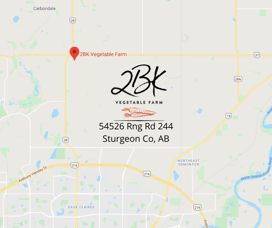 2BKVegetables's tweet photo. 𝟐𝐁𝐊 𝐕𝐞𝐠𝐞𝐭𝐚𝐛𝐥𝐞 𝐅𝐚𝐫𝐦⁣
⁣
Located in the heart of Namao, Alberta⁣
54526 Rng Rd 244⁣
Sturgeon Co, AB⁣
⁣ https://t.co/U0BMmrifpm
