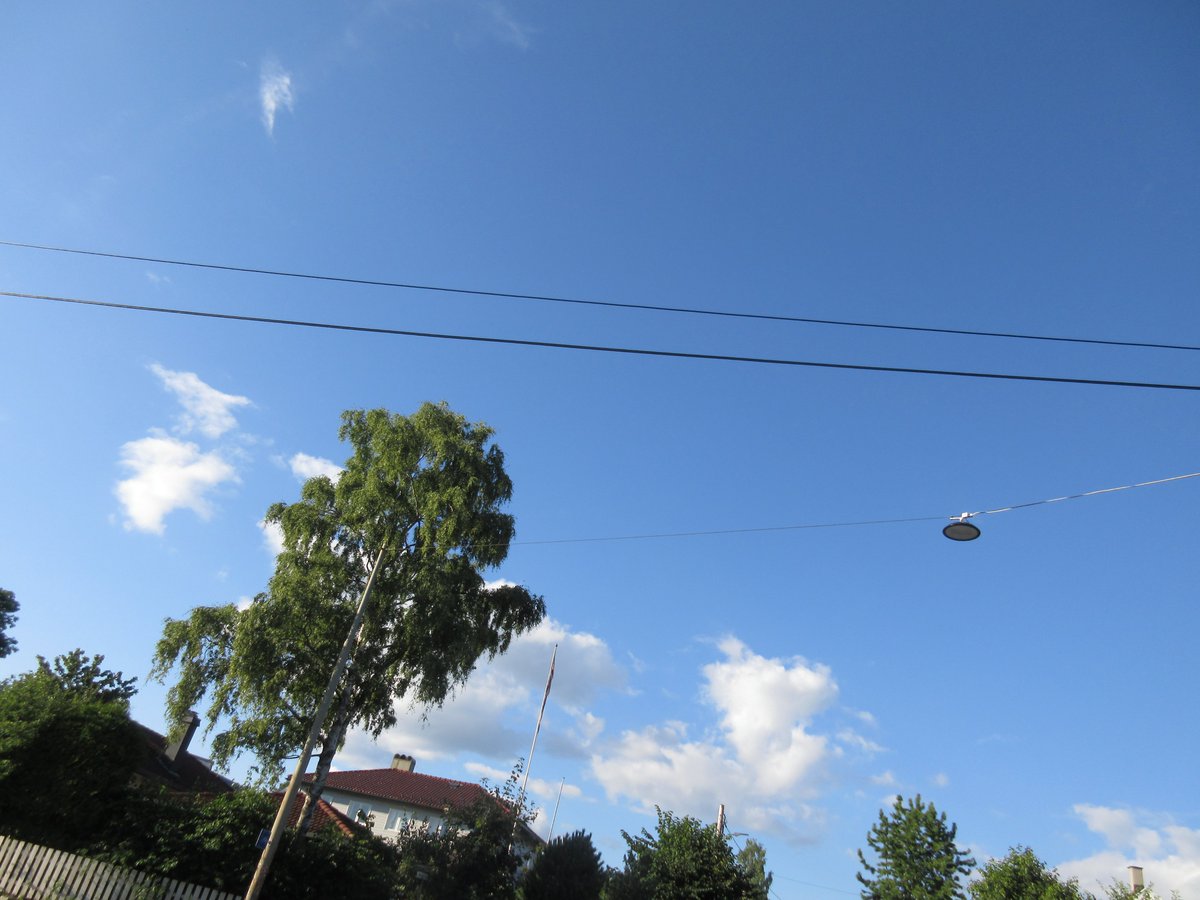 KajsaJAndersen's tweet image. A "fest" på Smestad vest summer #Smestad #Ullern #Westside 

Images by: Kajsa J. Andersen