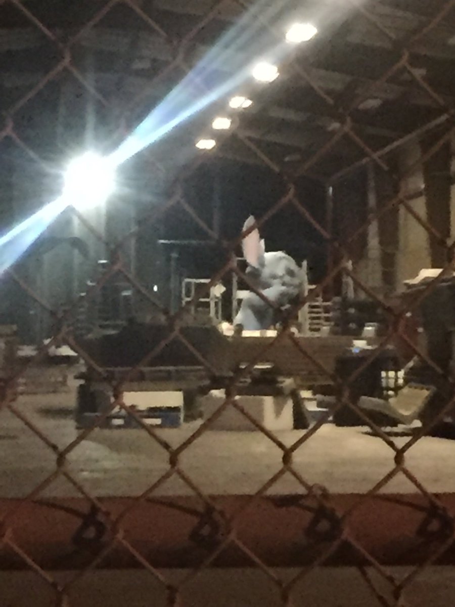 Spitting Stitch from the World of Disney store sitting backstage being worked on