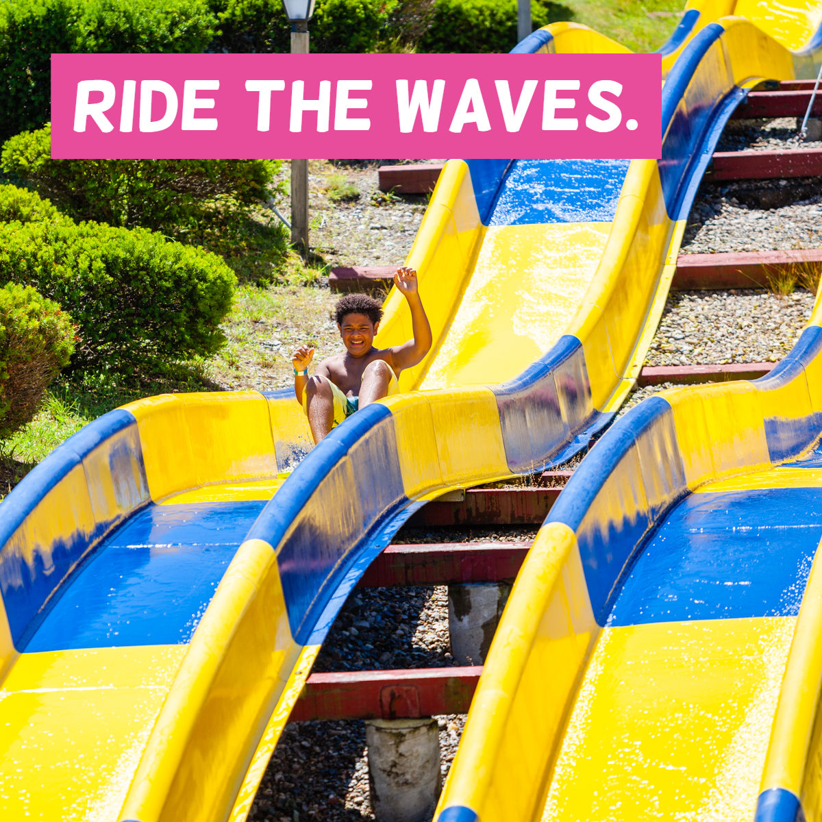 WizzCod's tweet image. When life gets crazy, you have to keep rolling with it. We appreciate all the love and support we've received from our community.