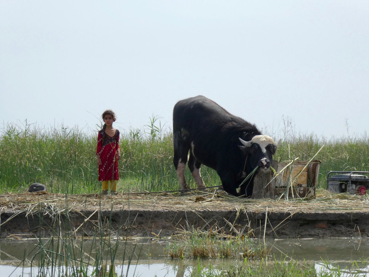 Slow Water is also in the spirit of Aldo Leopold’s land ethic. The forester-turned-conservationist called for us to strengthen our relationship with soils, waters, plants and animals. It’s care and need entwined, as we and nature hold each other up.  #slowwater  #water  #climate