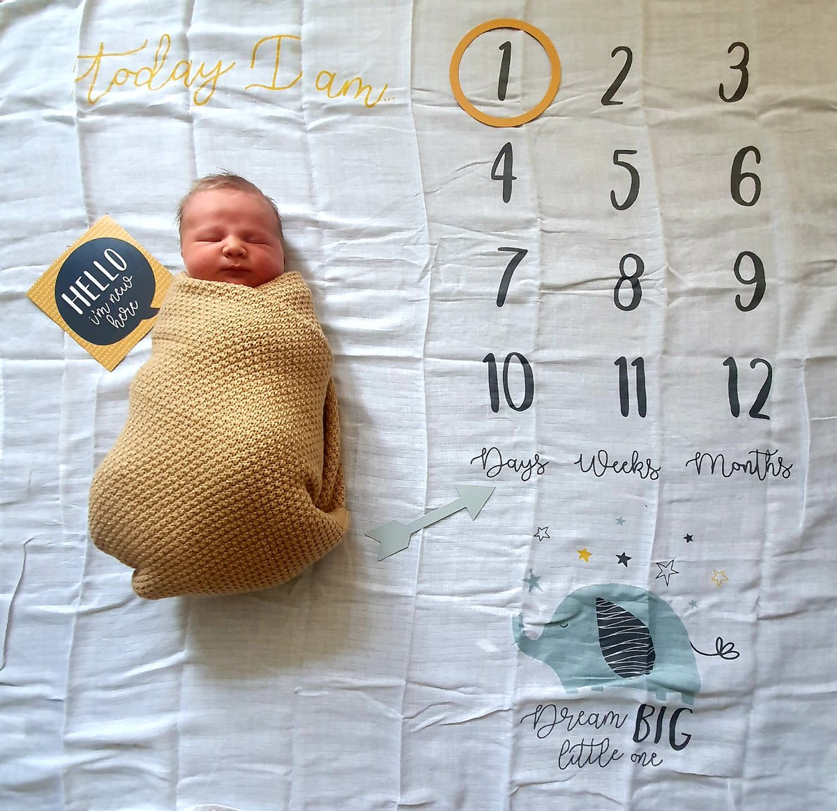 Mrs Turvey tweet media