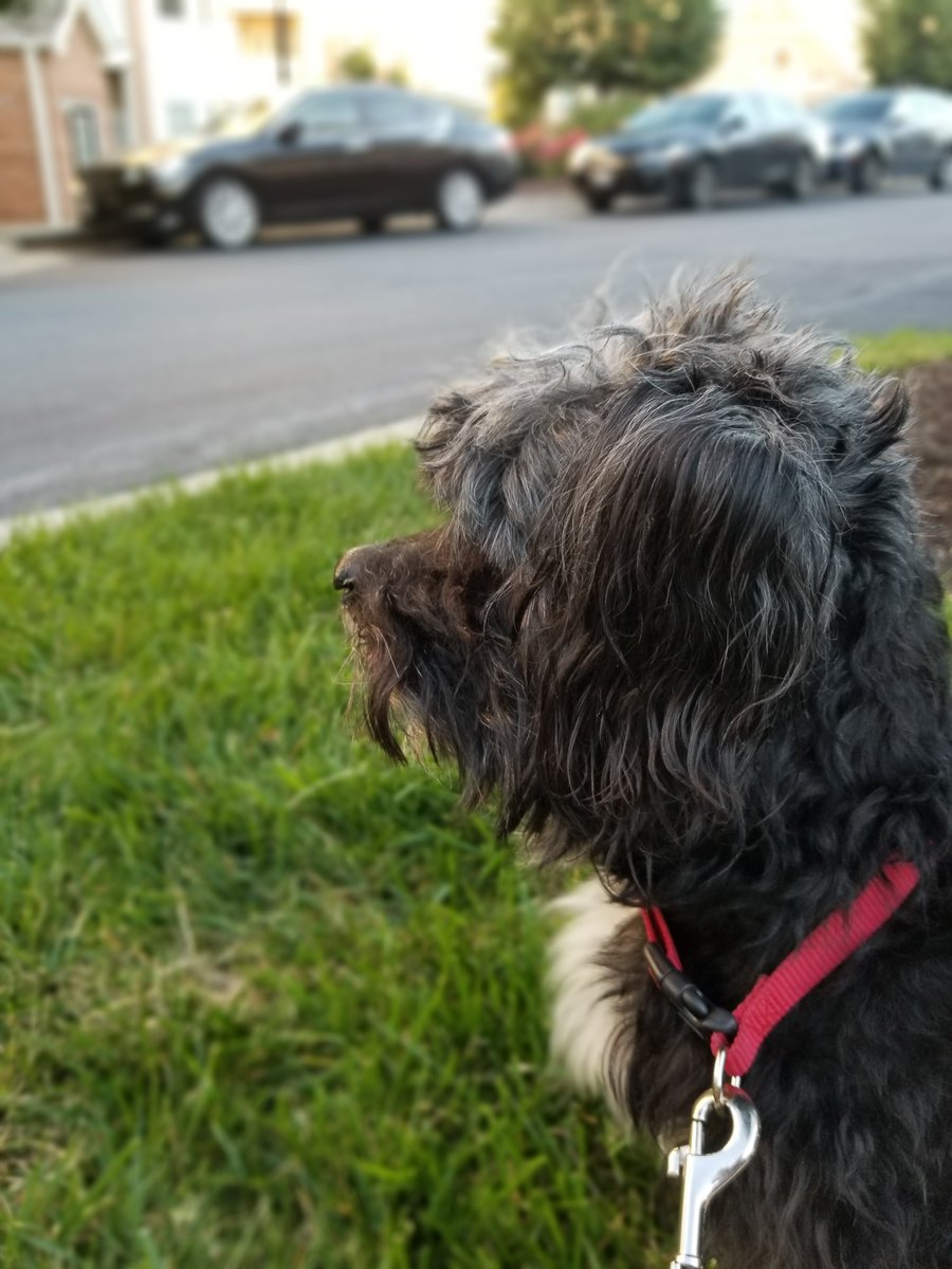 Stay Gold tweet media