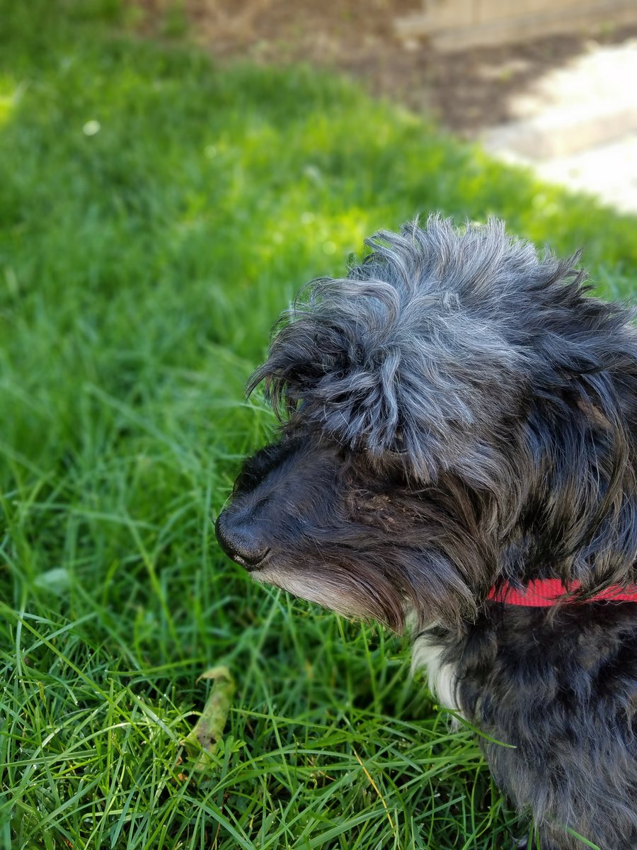 Stay Gold tweet media