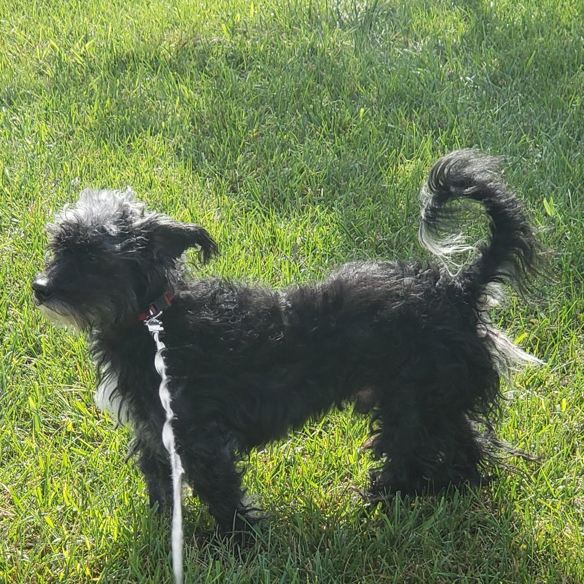 Stay Gold tweet media