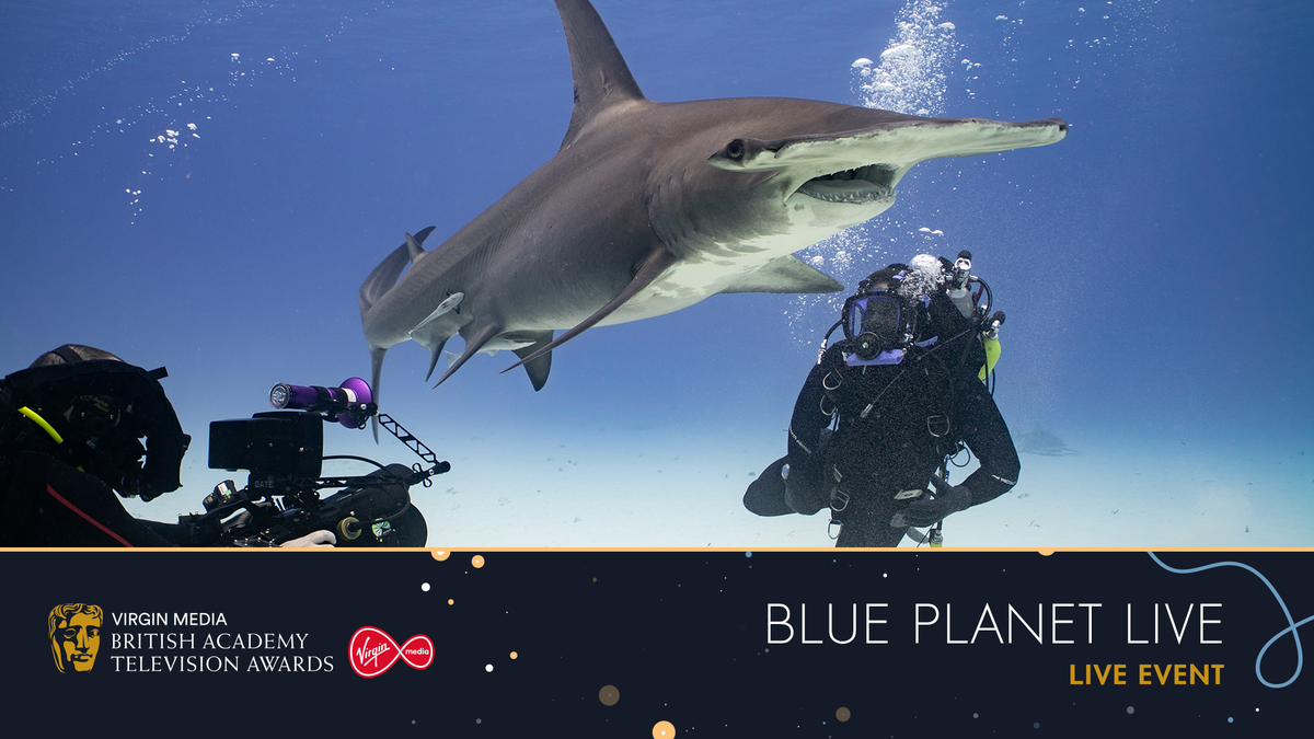 BAFTA's tweet photo. Blue Planet Live wins our Live Event category ๐๐
#VirginMediaBAFTAs #BAFTAs https://t.co/5fdpsvpYne