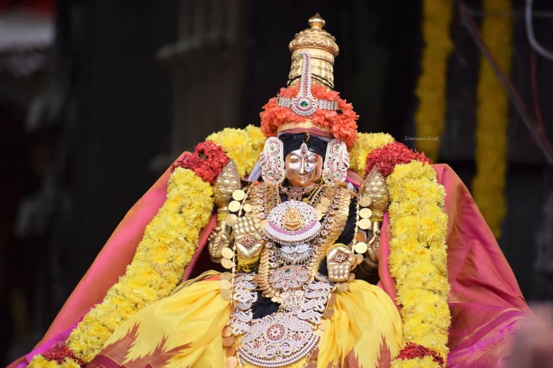 GoTirupati's tweet image. Varalakshmi vratham in Thiruchanur..🙏🙏😍

#tirupati #tirumala #tirupathi #tirumalatirupatidevasthanam
#tiruchanoor
