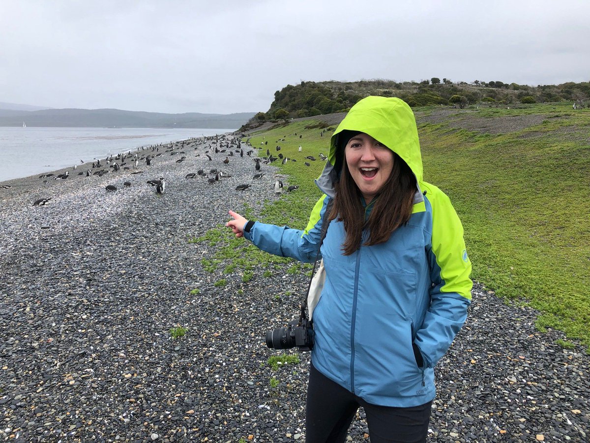 developmentseed's tweet photo. We are thrilled to introduce you all to @katymny who joins as our Head of Business Development! Katy will help us grow and better serve our partners and clients. She also loves penguins 🐧

https://t.co/RKmWCIpK0d https://t.co/SxJ9b0geps