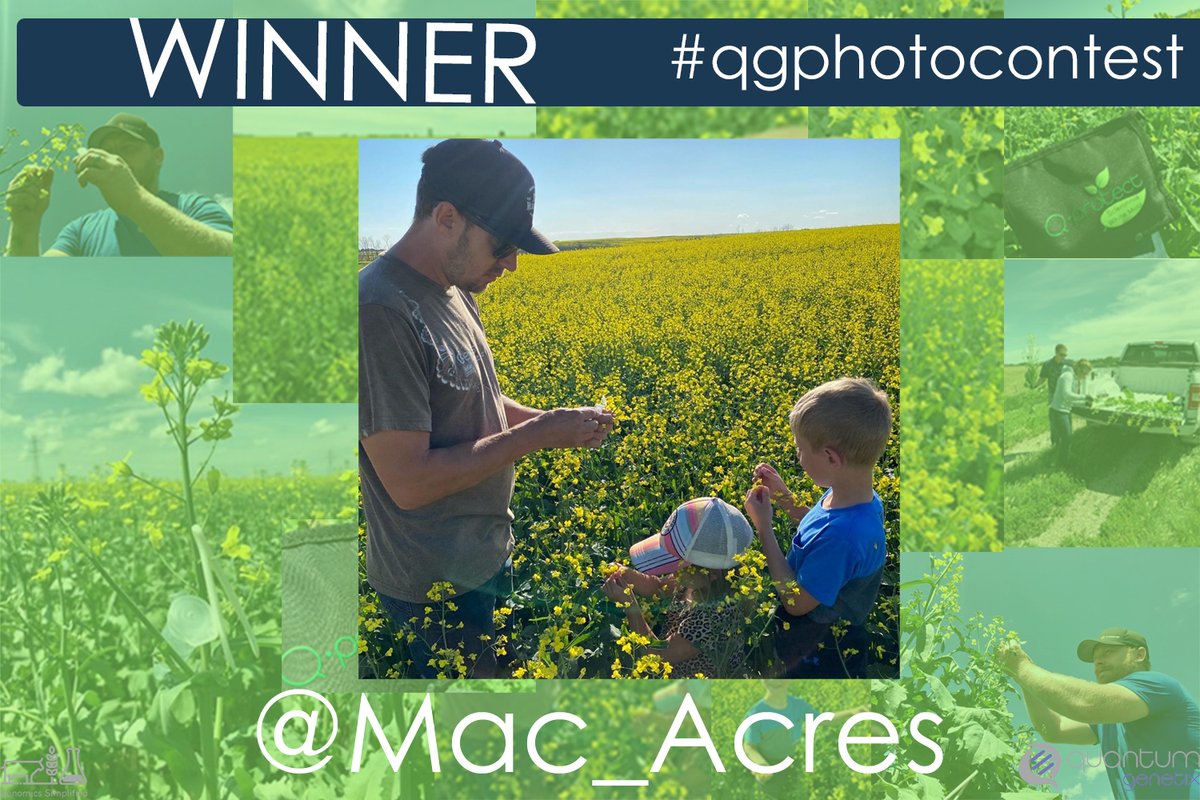 QuantumGenetix's tweet photo. Congratulations to @Mac_Acres for winning our #qgphotocontest with some great snaps of his family out sampling their #canola this season! Its really that easy, a simple petal test > send to the lab > results in 24hrs. Thanks for entering Brennan, enjoy the new yeti! #qprotect https://t.co/ljyvZRyhgU
