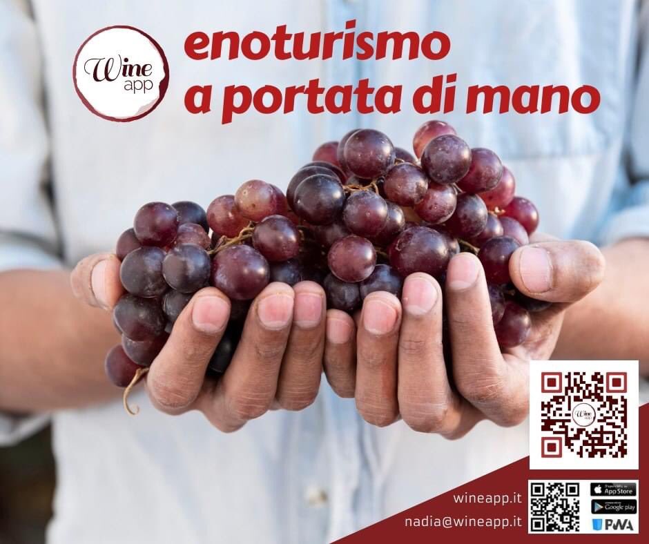 nadiawineapp's tweet photo. #wineapp #enoturismo #sostenibilità #ambientale #insiemesivince https://t.co/l6NeaQF8kz
