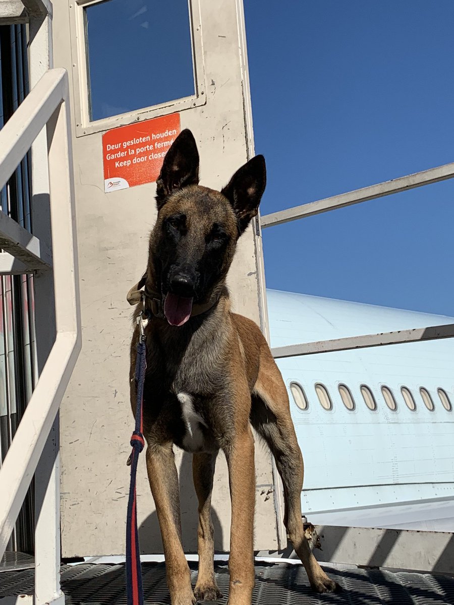 Training at Brussels AirPort on the warmest day! #EUbullseye #CBRN
