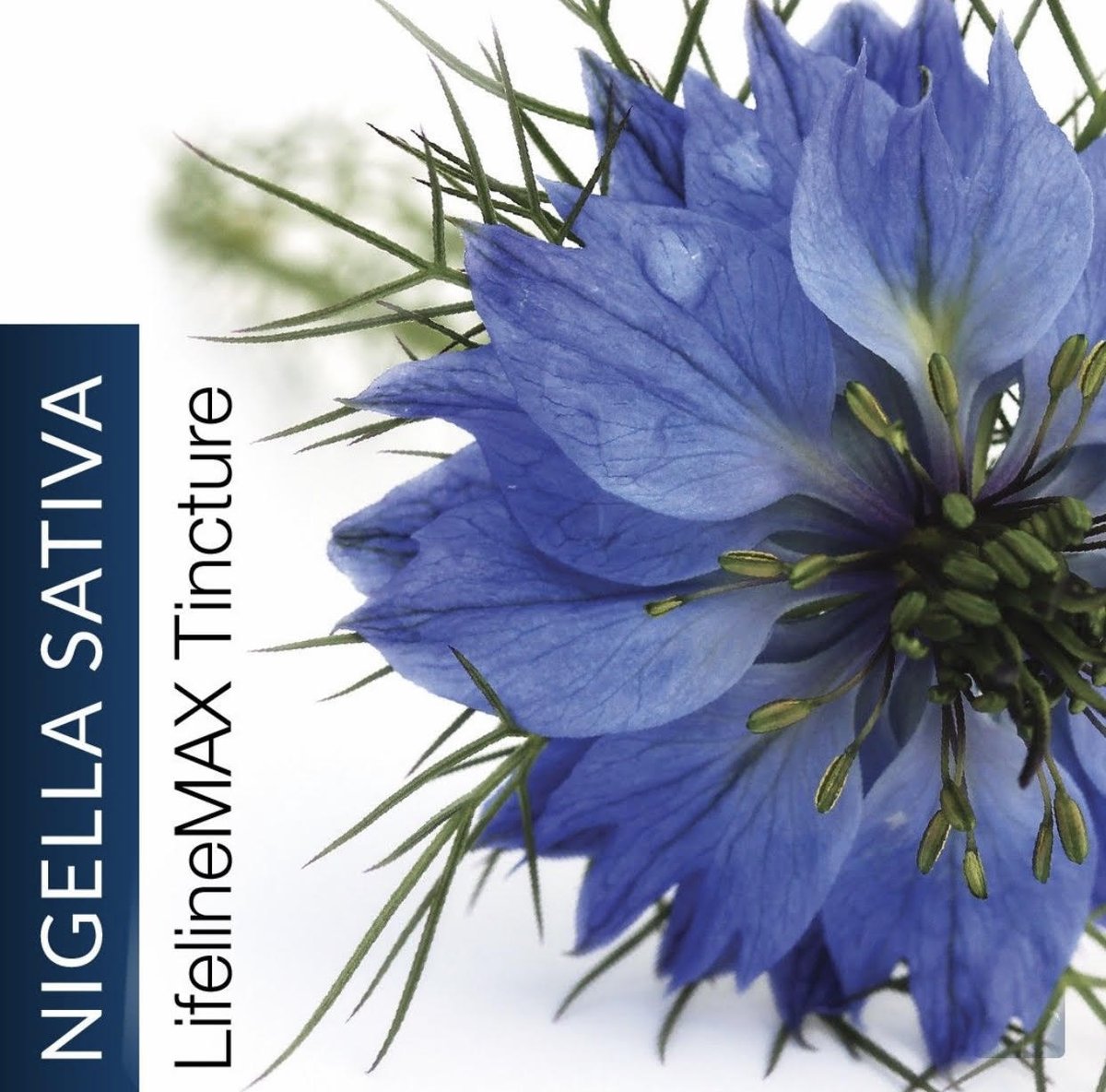 iriecbd's tweet image. The Lifeline MAX blend is formulated to be exactly what the name implies: a powerful remedy for when your body needs it most. BOGO through 8.3. bit.ly/31RFMQs  🌱 #LiveLifeIrie