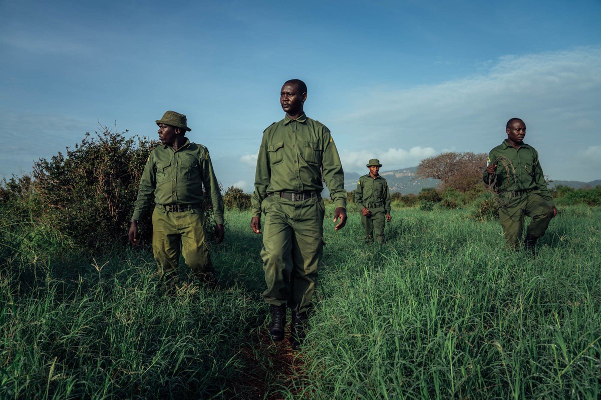 WildlifeWorks's tweet photo. Today is World Ranger Day! We salute all rangers, especially those killed or injured in the line of duty while protecting the world's natural resources.
Photo by Filip Agoo.
#RangersDay
#thisisRedd
#wildlifeworks https://t.co/0dvhz3WQiJ