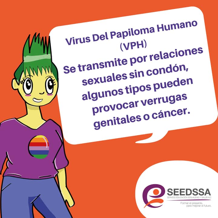 SEEDSSA (@seedssa) on Twitter photo ¿Papanicolaou? En SEEDSSA contamos con personal capacitado con la sensibiliadad de un servicio humanista centrado en la persona. Recomiendanos
#Salud #Calidad #Calidez #Cancún <a href="/RESILIENTXS/">RESILIENTXS</a> <a href="/JuventudesQROO/">Red Derechos Sexuales de las Juventudes en Q.ROO</a> <a href="/DAScancun/">Derechos,autonomías y sexualidades Cancún</a> ¿Papanicolaou? En SEEDSSA contamos con personal capacitado con la sensibiliadad de un servicio humanista centrado en la persona. Recomiendanos
#Salud #Calidad #Calidez #Cancún <a href="/RESILIENTXS/">RESILIENTXS</a> <a href="/JuventudesQROO/">Red Derechos Sexuales de las Juventudes en Q.ROO</a> <a href="/DAScancun/">Derechos,autonomías y sexualidades Cancún</a>