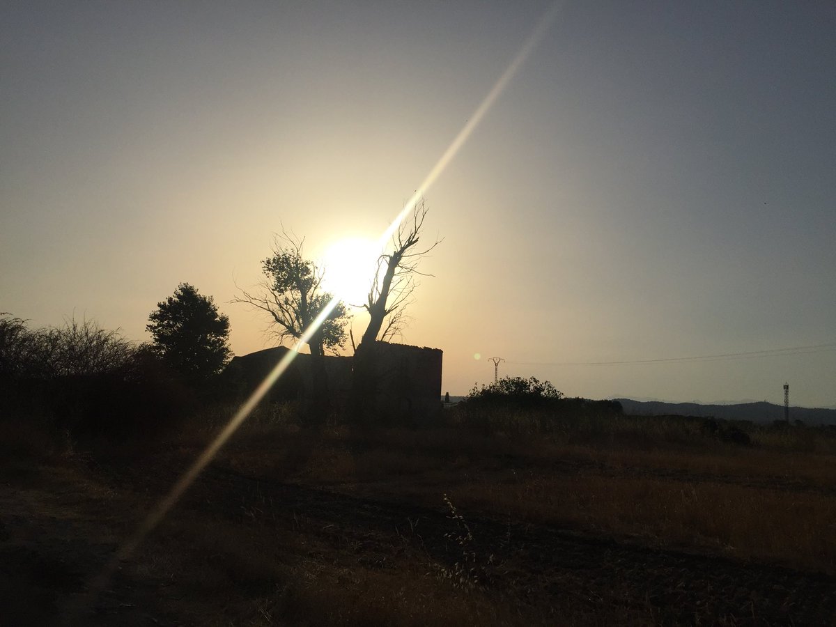 efojea1's tweet photo. Julio parte. Llega Agosto. #ñeñe #comotelodigo #sabesmari? #tonces? @meteochile_dmc @RosaMol05433083 @JuanjoVillena @anamaria190977 @miguelmarqueta @JulioARuiz22 @mongeleon @fran40 @ferdel3399 https://t.co/pKtrXtWceH