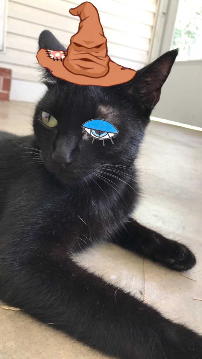 kittyclawdia's tweet photo. Wizurd. https://t.co/rL5h3VSvAV