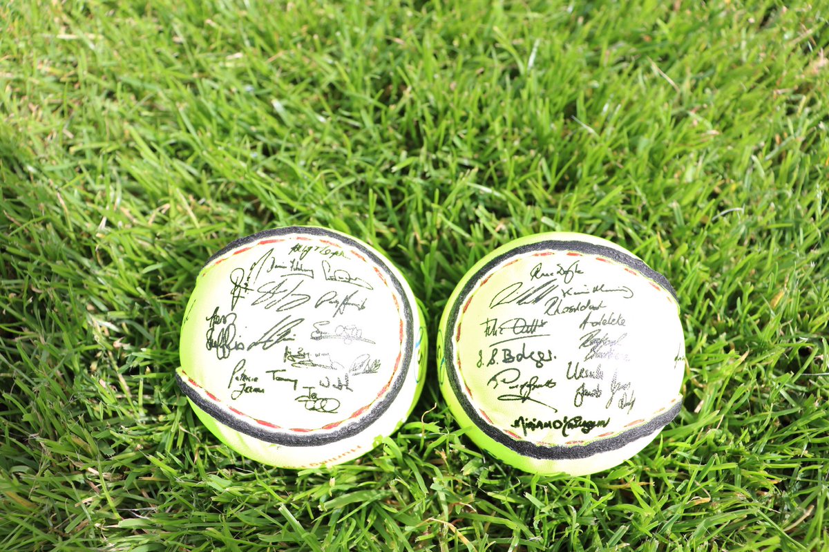 Unique digitally autographed #hurlingforcancer sliotars €25 incp&p ltd edition & signed by #HFC supporters Mícheál Ó’Muircheartaigh @ShaneLowryGolf @_Davy_Russel_ @FrankieDettori @soniaagrith @patjsmullen @AP_McCoy @tadhgfurlong @tommywalshkor buy now ➡️app.galabid.com/hurlingforcanc…