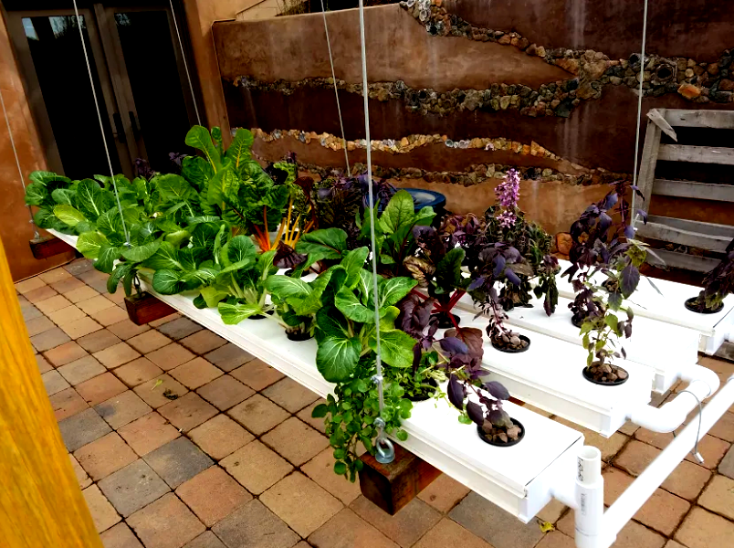 ECOLIFE Conservation tweet media