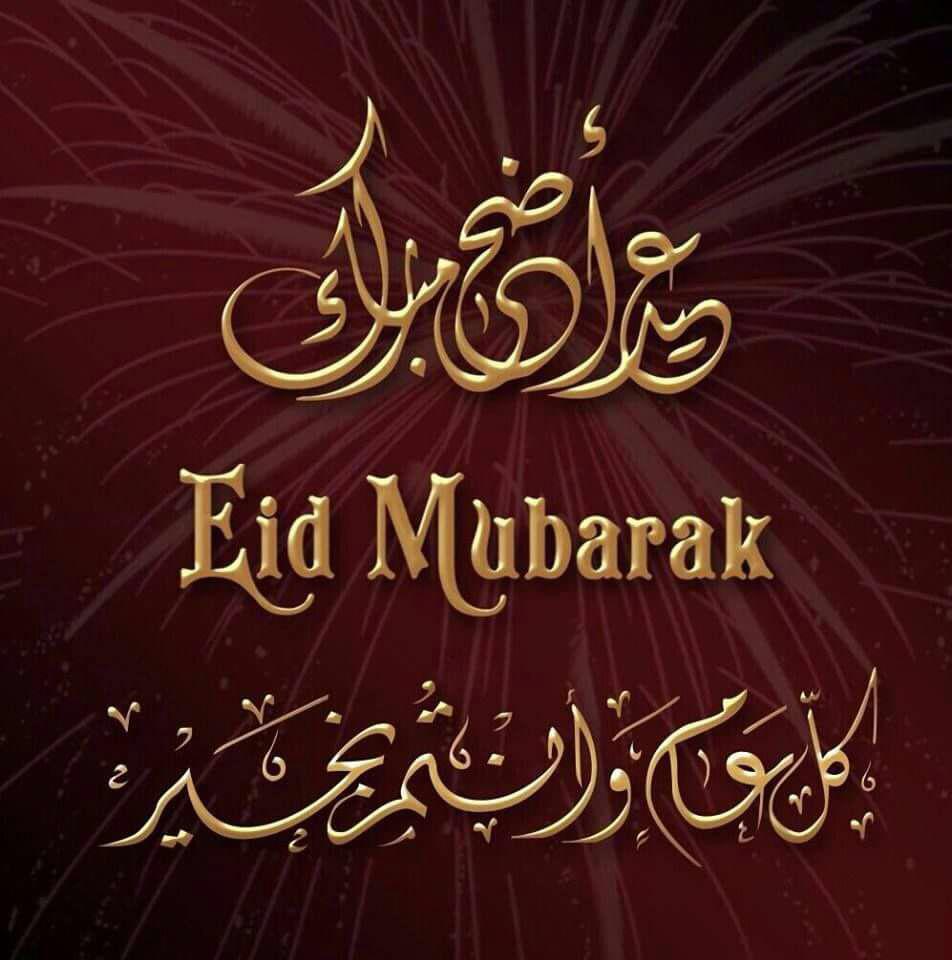 julia_kurdi's tweet photo. https://t.co/f3v5qSF1db