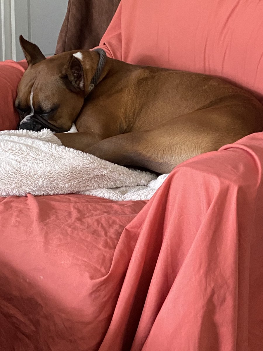 MediagirlDc's tweet image. #notbothered