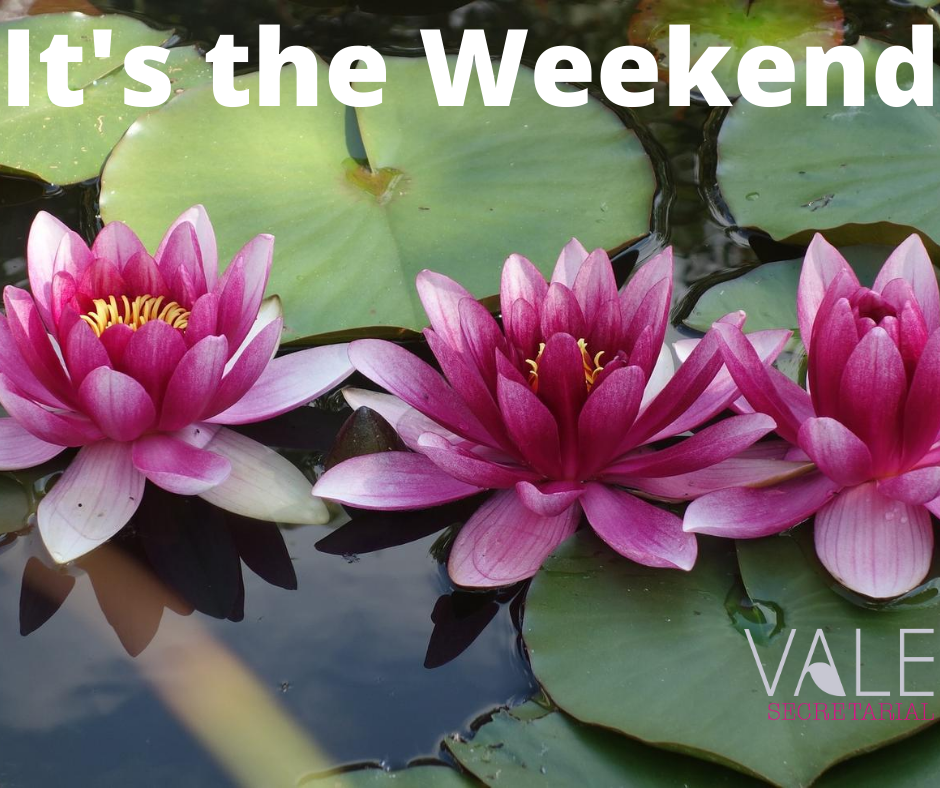 valesecretarial's tweet photo. Relax in the peace of knowing Vale Secretarial can take care of it this weekend

https://t.co/0NnxEc6sOt

#relax #bestplacetolive #nature https://t.co/tFQOzmQYw3