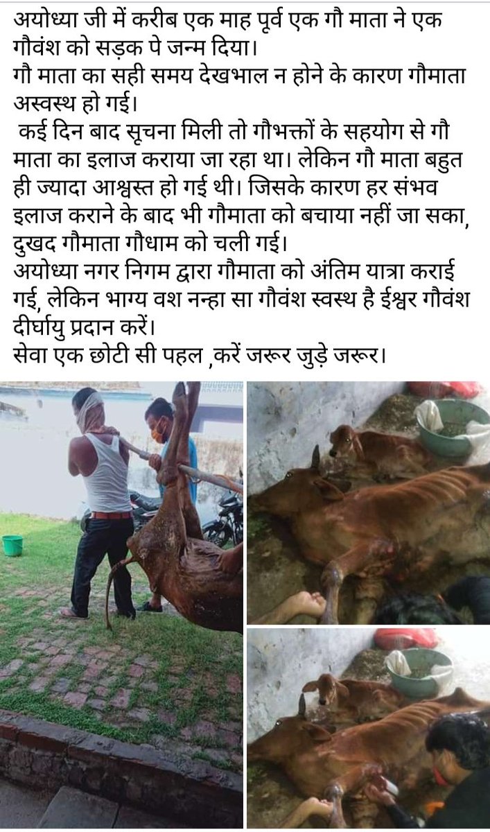NainGauSewa's tweet photo. https://t.co/trm4fpAVMQ