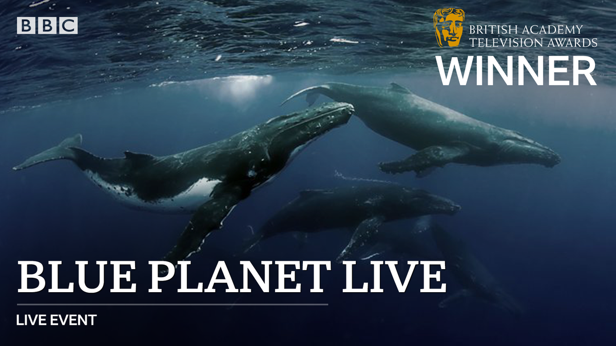 bbcpress's tweet photo. ๐ณ Congratulations to #BluePlanetLive on the #BAFTATV Live Event award! https://t.co/M1KQGVxGST
