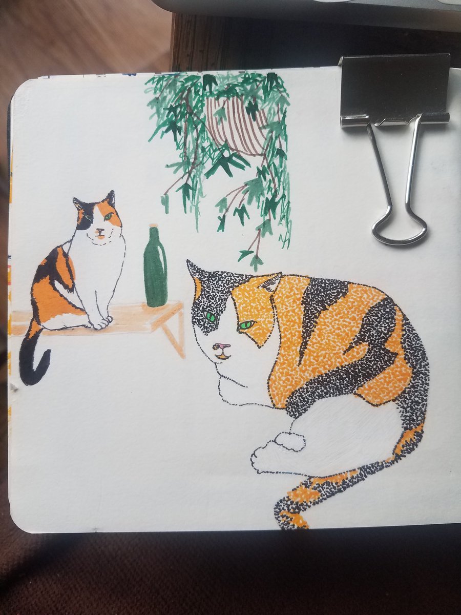 HecateCreator's tweet photo. 15 min cat studies of my star sisters cat Rourke <3
#freelanceartist #catstudies #timedstudies #artistontwitter #markers #art https://t.co/iyTVbclZG5