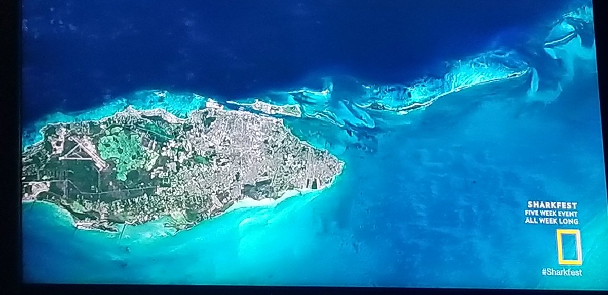 PatrickNelsonTV's tweet photo. Getting caught up on #SharkFest and just watched the work of @beneaththewaves on "Sharks of the Bermuda Triangle". It was absolutely fascinating! It's so cool to see these shark experts take us into those mysterious places like the infamous Bermuda Triangle! #SharkNerd https://t.co/pSy5Bu9QhC