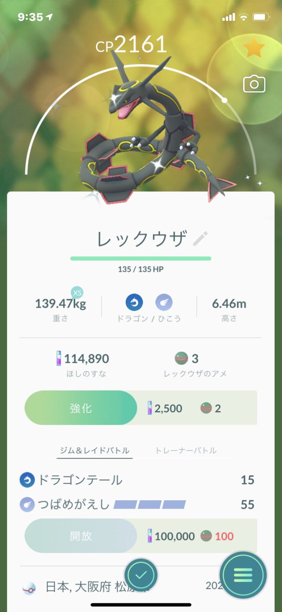 ポケモンgo 黒の色違いレックウザがかっこいい 出現開始後の1回目のみんなの成果 ポケモンgo攻略まとめ速報 ポケモンgo 黒の色違いレックウザがかっこいい 出現開始後の1回目のみんなの成果 ポケモンgo攻略まとめ速報