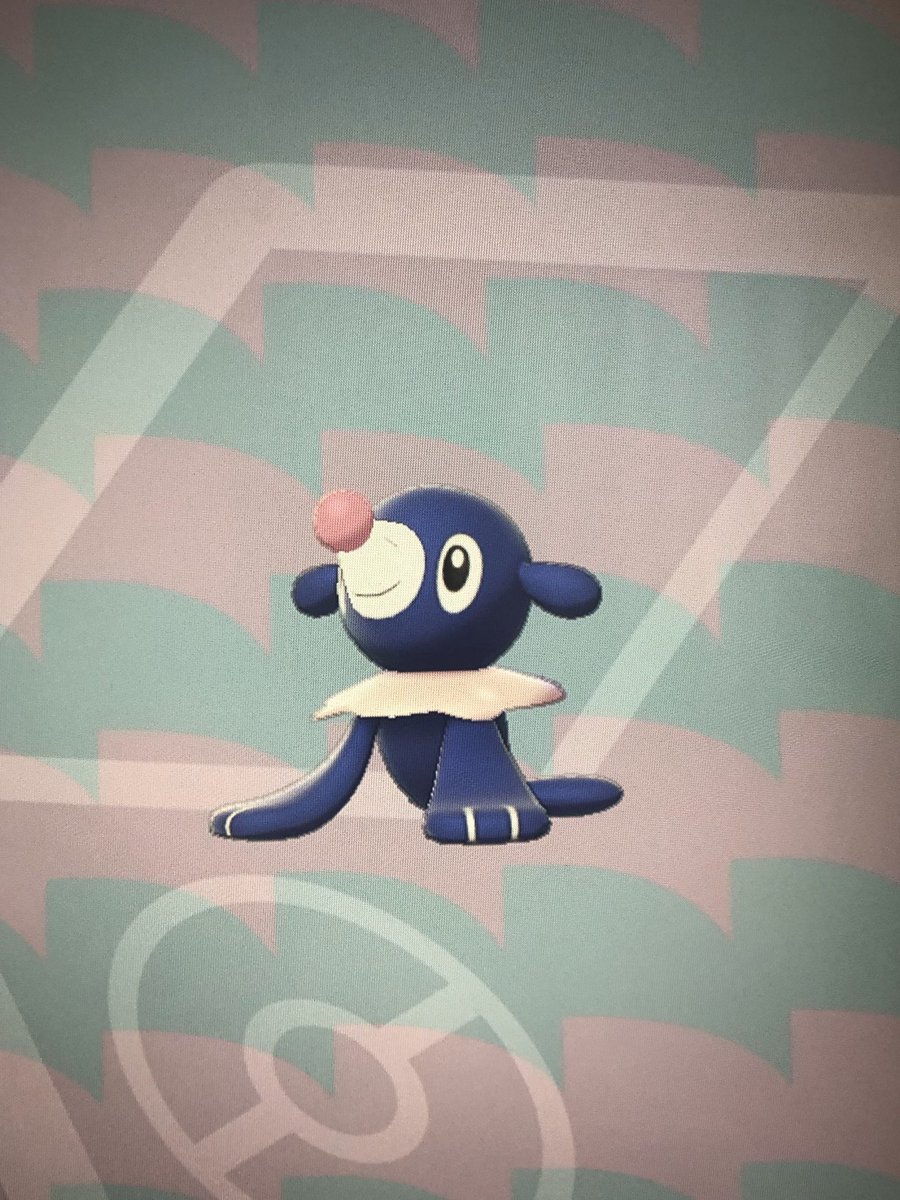 えりみ 出 色違いアシマリa抜け5v 通常特性 ひかえめ 求 過去配信ポケモン ホームでの交換可能です ポケモン交換 ポケモン剣盾交換10 ポケモン交換募集 色アシマリ