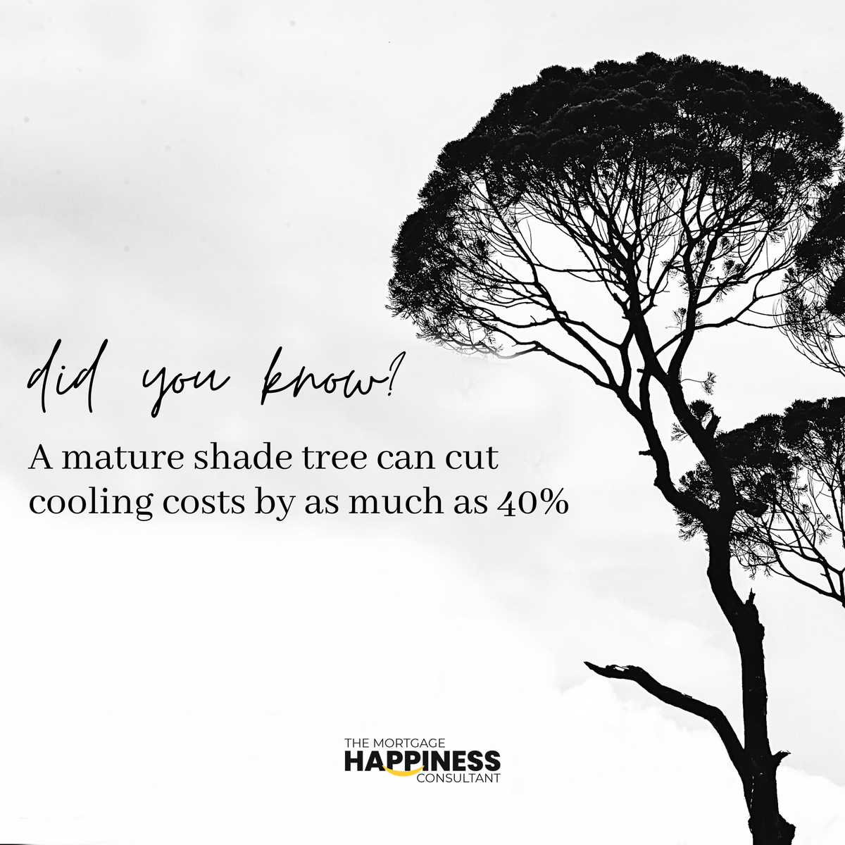 CandeceJune's tweet photo. Nature’s air conditioning �� 🌱 🌳 🌴 🍃 

#mortgage #homeloans #realestate #resolutionhomeloans #nowisthetimetobuy #roadtohomeownership #bestteam2020 #bestlender #weloverealtors #shadetree #backyardtree #landscaping #landscapedesign #greendesign #naturesac https://t.co/jHnjQ0aJui
