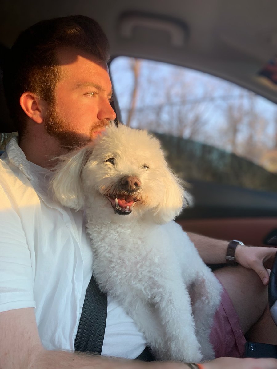 A_Coates10's tweet photo. Said goodbye to my best friend for the past 13 years today. I never wanted to let go but the time was right. Thank you for fighting the way you did, you were dealt a bad card but never gave up for us. Fly high Scoot, I love you.❤️ https://t.co/4kE3Tm4ruP