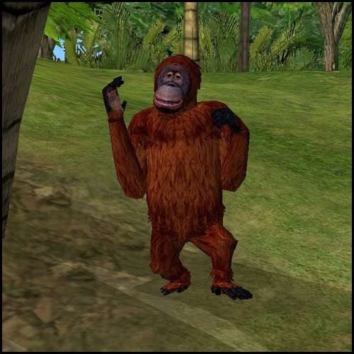 Trevor_Schmidt_'s tweet photo. Monkey https://t.co/ipBFjBDj8N