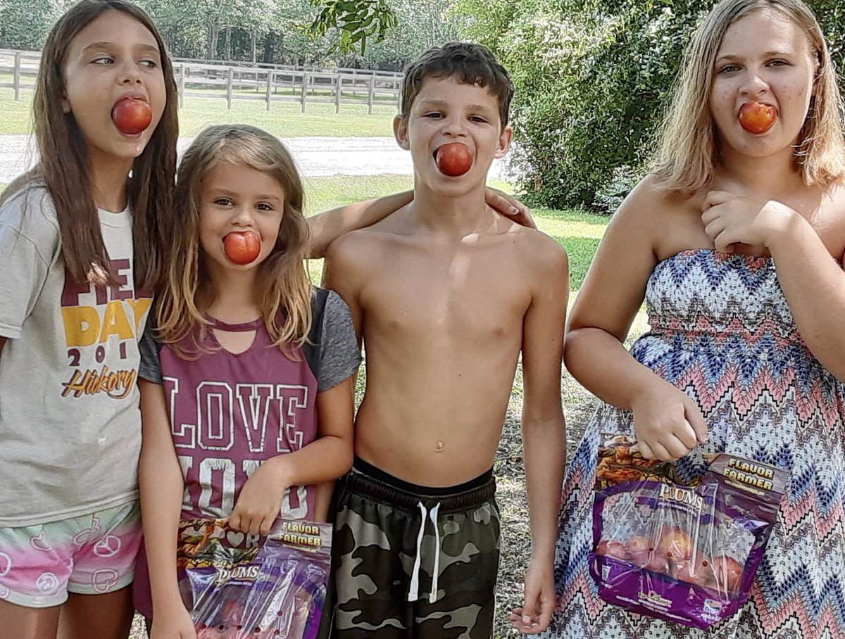 Thank you Katie Barnette for sharing with Laurens 55 Student Nutrition how much your children, niece and nephew are enjoying the plums our staff passed out yesterday curbside. 

Thank you to Taylor Boys Produce for providing fresh fruit for children in the community!