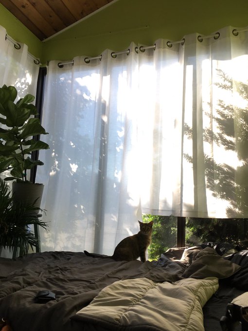 Gm 🌱 https://t.co/V35IppVJ2G