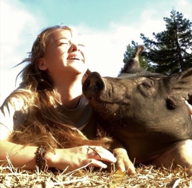 Once upon a time there was a pig named Earl who was going to be sold off to a slaughterhouse. My wife and I along with some friends decided to buy Earl and turn him into a therapy pig instead. Here are some drawings I made for people who contributed $50 or more