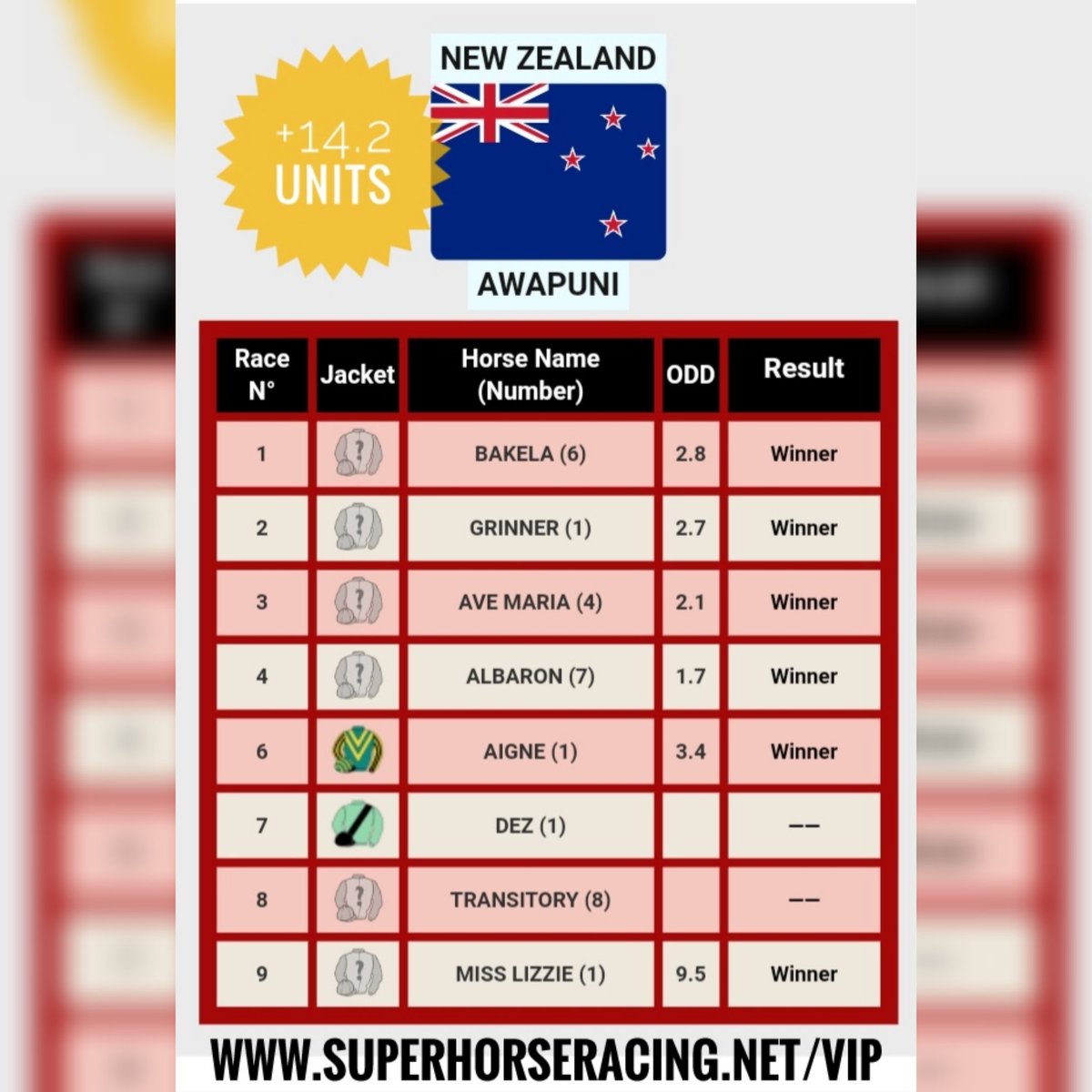 Super Horse Racing Tips tweet media