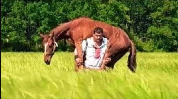elalienbro's tweet photo. - Ya vas a venir con el caballo cansado y me vas a pedir ayuda
- Yo con mi orgullo y mi caballo sin pedirle nada a nadie https://t.co/ddd3JOngrT