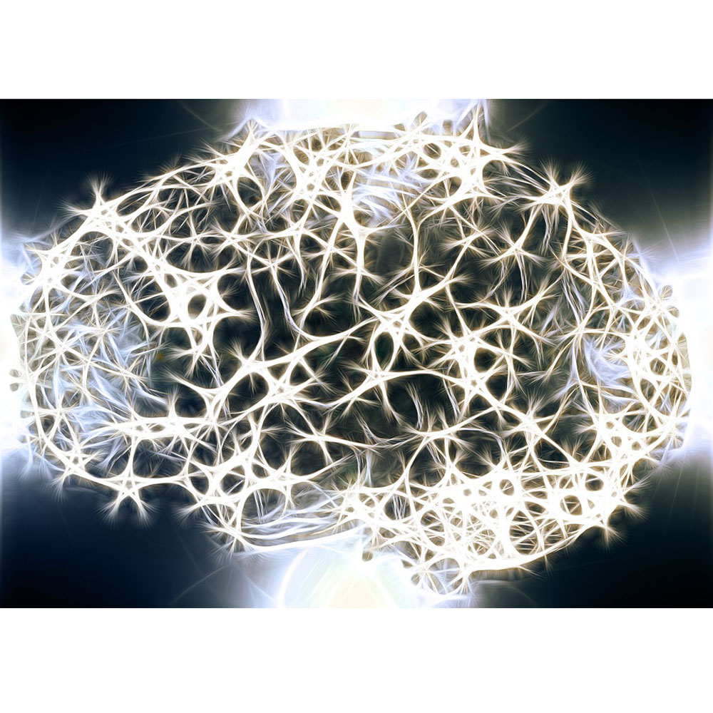 Nebraska Children tweet media