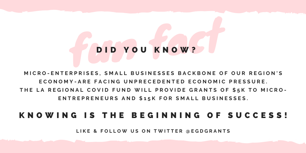 EgdGrants's tweet image. Micro-enterprises, small businesses backbone of our region&apos;s economy-are facing unprecedented economic pressure.
The LA REGIONAL COVID FUND will provide grants of $5K to micro-entrepreneurs and $15K for small businesses.

#edgrants #grantwriter #programdeveloper #consultant