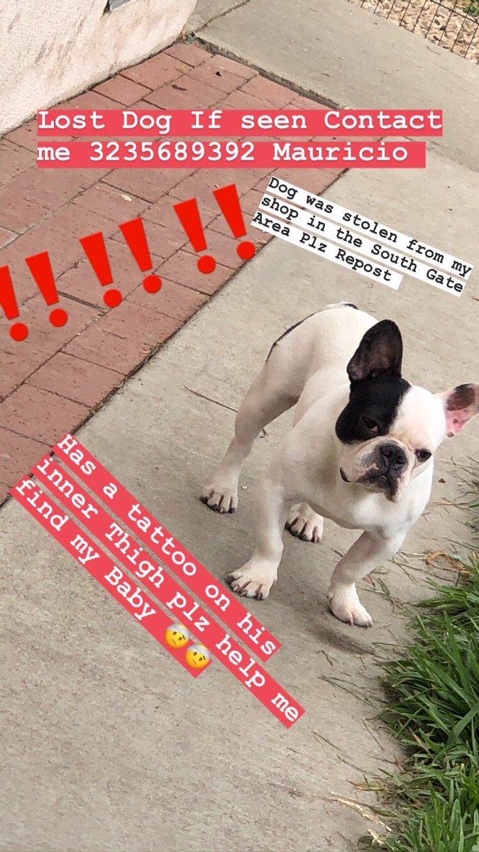 Elmau5_7's tweet photo. Stolen‼️‼️ from the SOUTH GATE area Plz Retweet help me get my baby Back  Home cash Reward $$$if found https://t.co/nRQNBda2qp
