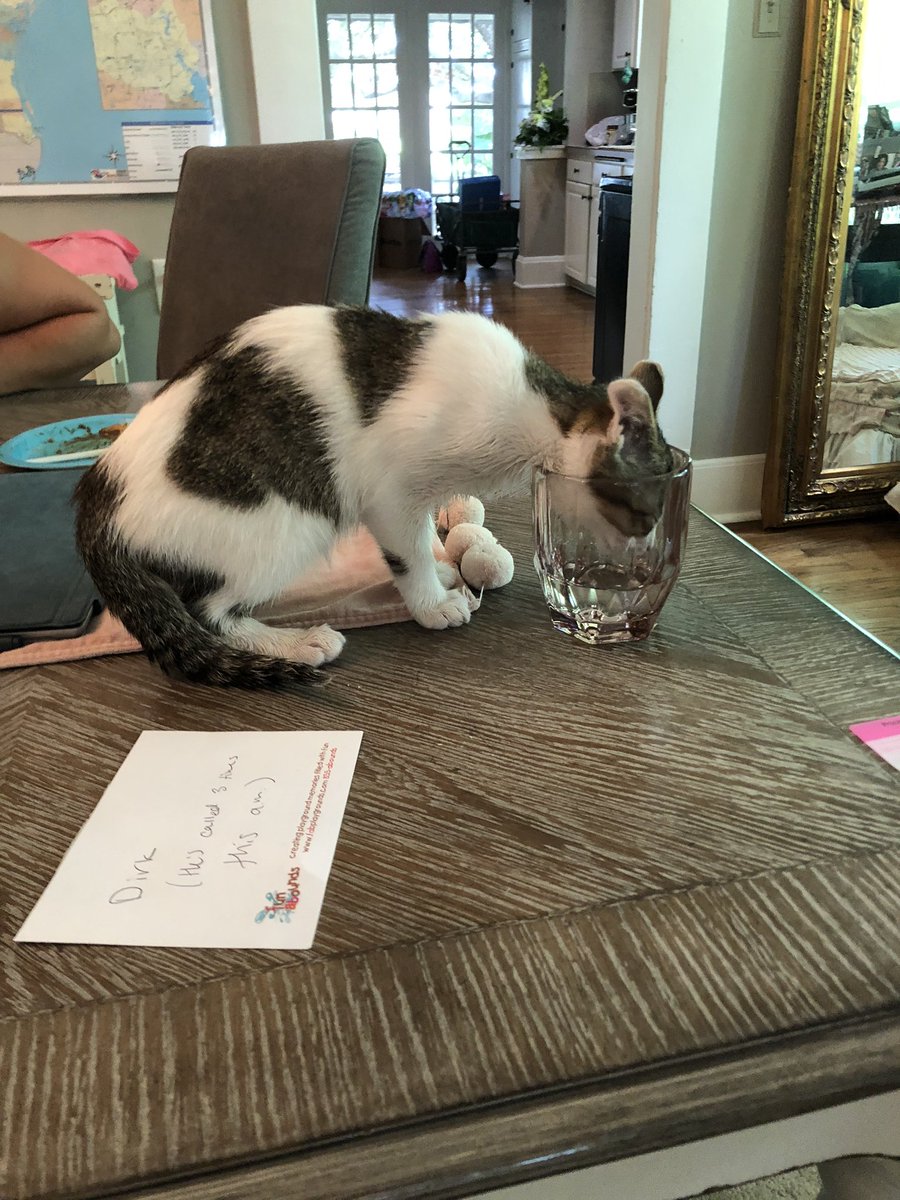 funaboundstx's tweet photo. #funfriday There’s never a dull moment in our office... Today, we got a visit from our new best friend and had a guac-off!🎉🐈🥑
#funaboundstx #fun #office https://t.co/zplF19Mvep