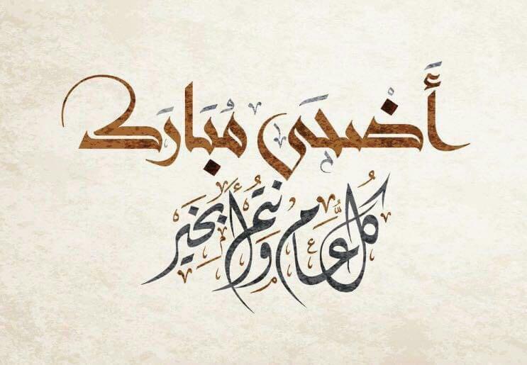 mohsan4440's tweet photo. https://t.co/6I9IZlTJUI