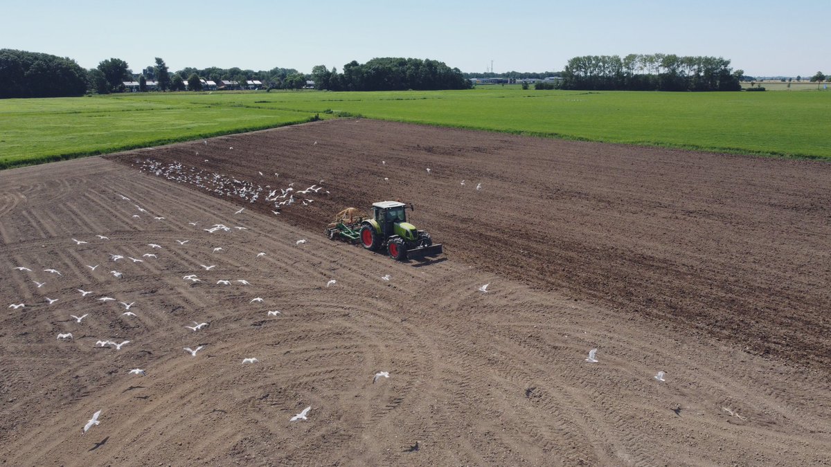 Thuis “even” een hoekje gras aangepakt👌🏼 #mooiwerk