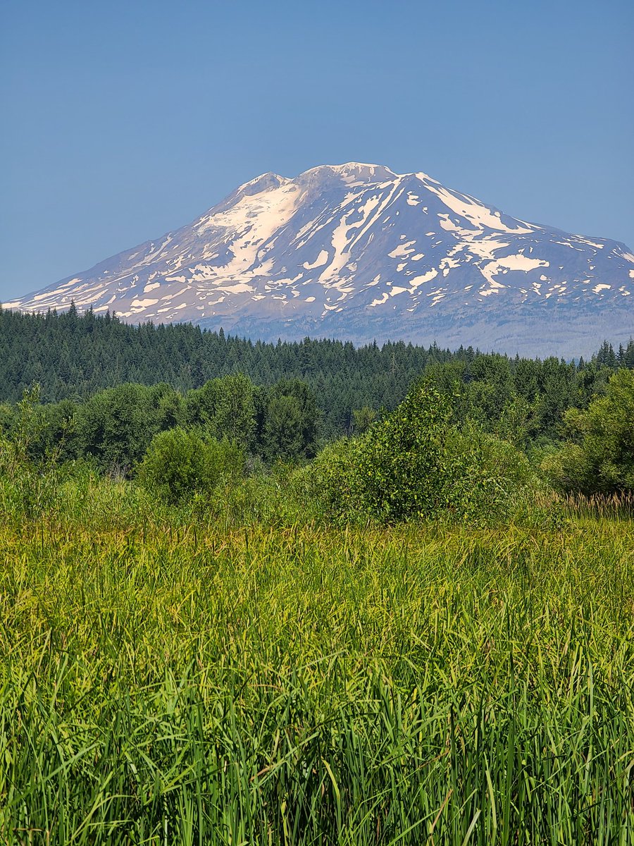 andronicusII's tweet image. #volcano #glacier #MountAdams