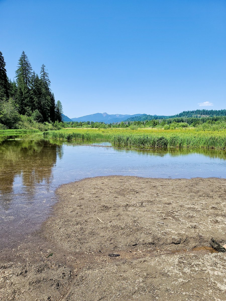 andronicusII's tweet image. A cool walk in the stream off the volcano. MountAdams #TroutLake WA# #WhiteSalmon #CascadeRange #volcano #glacier