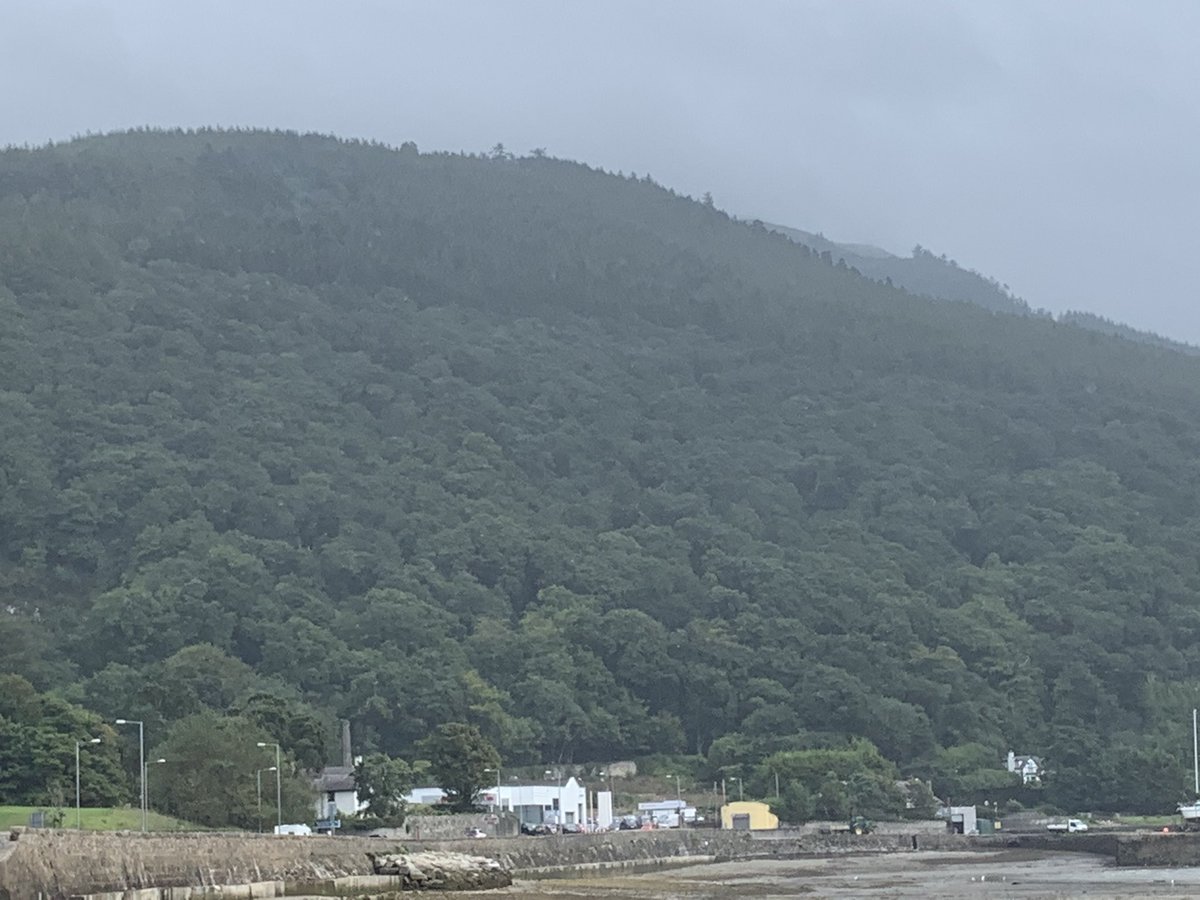 Solutions2Bus's tweet image. The sun tried really hard to brighten what had been a wet blustery day in beautiful Rostrevor, Co Down #rostrevorcodown #themournemountains #SeaSide