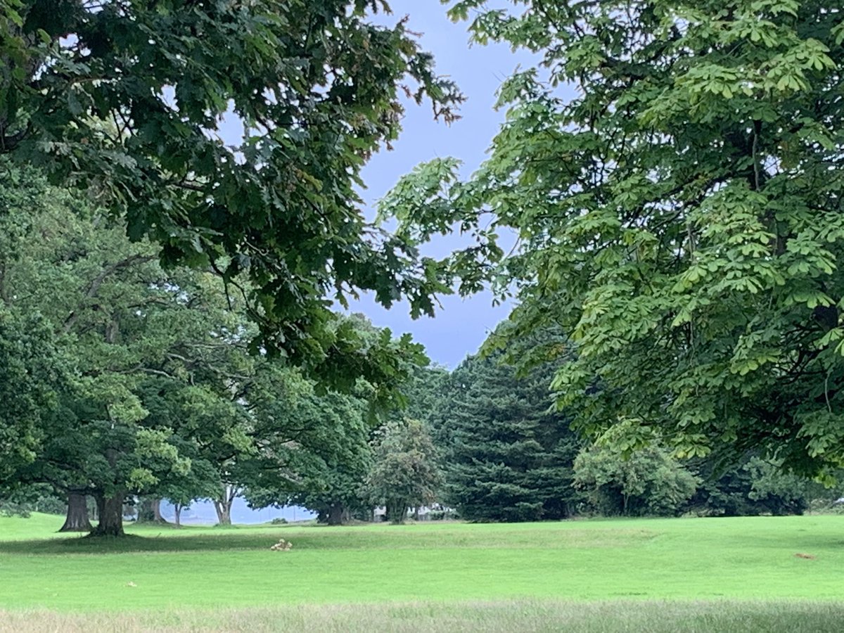 Solutions2Bus's tweet image. The sun tried really hard to brighten what had been a wet blustery day in beautiful Rostrevor, Co Down #rostrevorcodown #themournemountains #SeaSide